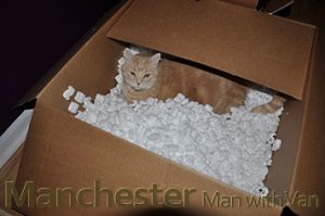 Packing peanuts